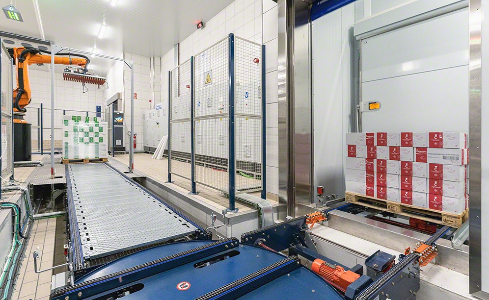 L'entrepôt de Cabezuelo Foods équipé du Pallet Shuttle avec navettes