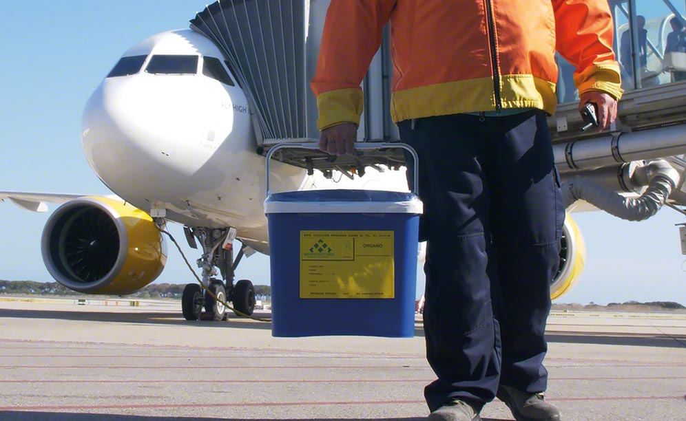 Plusieurs compagnies aériennes transfèrent des organes en cabine gracieusement