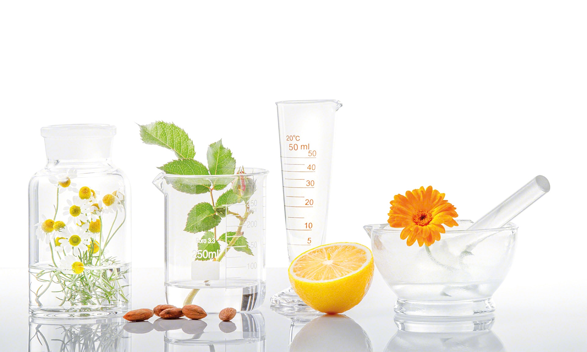 La Source digitalise son entrepôt de produits naturels avec Easy WMS La Source digitalise son entrepôt de produits naturels avec Easy WMS