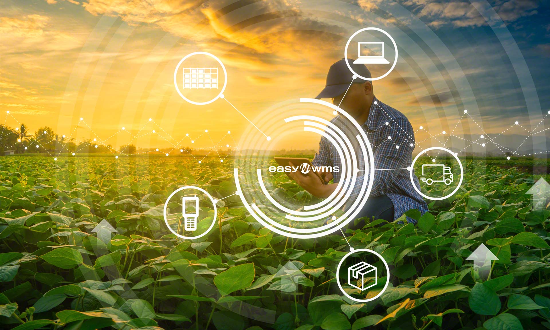 Le fabricant de produits de jardinage Planta mise sur la digitalisation de son entrepôt Le fabricant de produits de jardinage Planta mise sur la digitalisation de son entrepôt