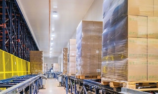 Bem Brasil traite 500 000 tonnes de produits surgelés grâce au Pallet Shuttle Automatique